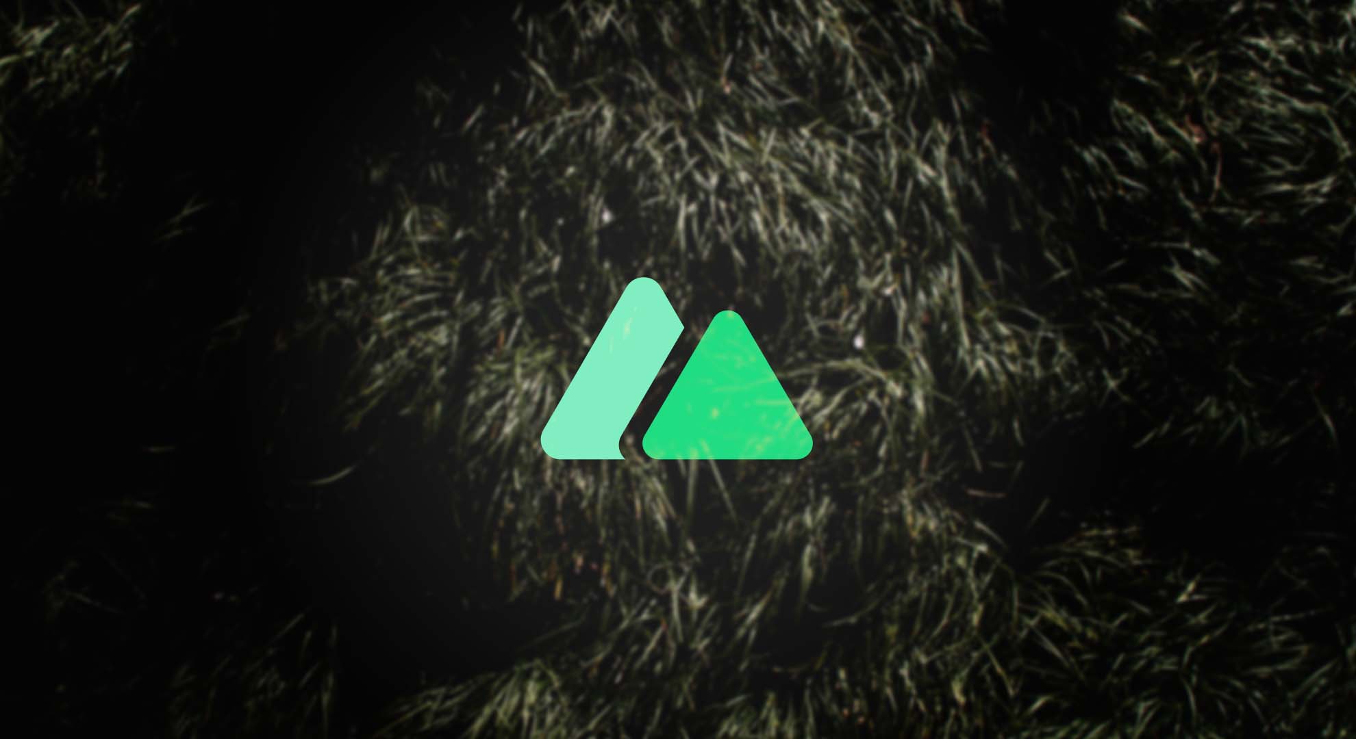 Nuxt.jsのページ遷移時のスクロール制御したい